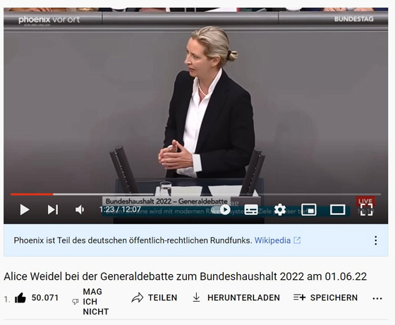 01-Alice Weidel pers�nlich im Bundestag-560