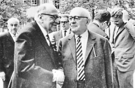 AdornoHorkheimerHabermasbyJeremyJShapiro2-Makro. Struktur hell-560